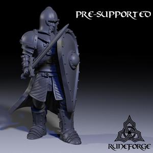 City Guard – Sword and Shield – Guarding