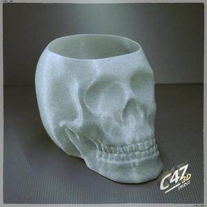 Skull Vase / Bowl