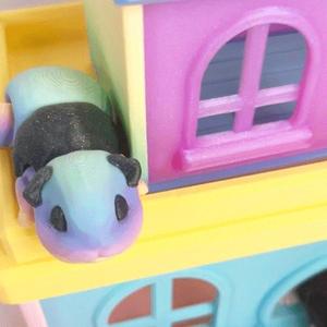 Guinea Pig Flexi with Home
