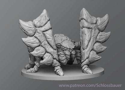 Shield spider