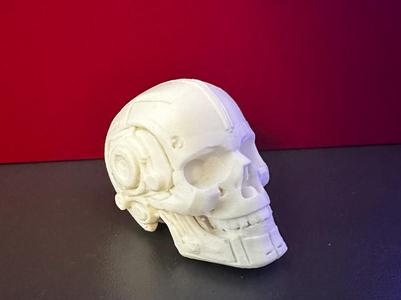 Cyberpunk Skull