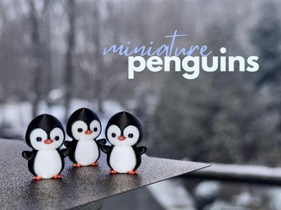 Cute Mini Penguin