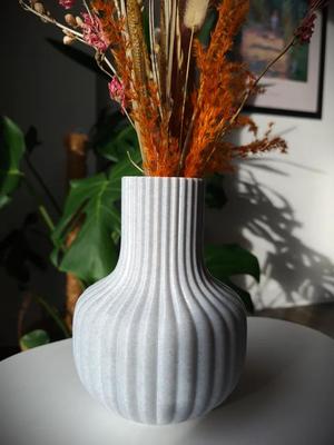 Vase (Vase-mode available)