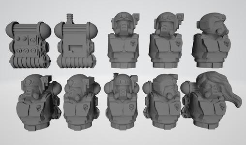 Hostile Environment Guardsmen