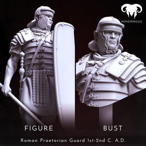 Bundle – Roman Praetorian Guard 1st-2nd C. A.D. Ready for the Roman games!