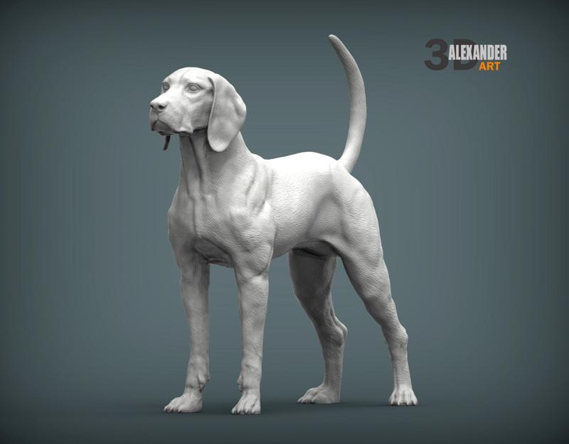 American English Coonhound
