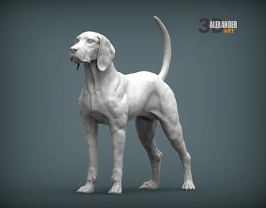 American English Coonhound
