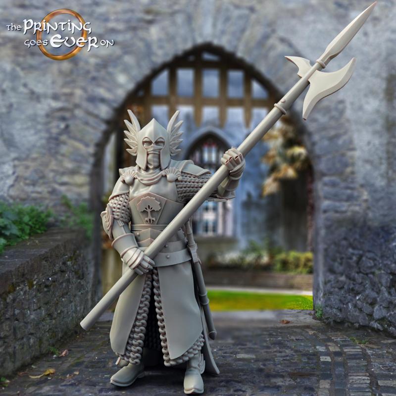 King’s Guard – Pose B – Presupported