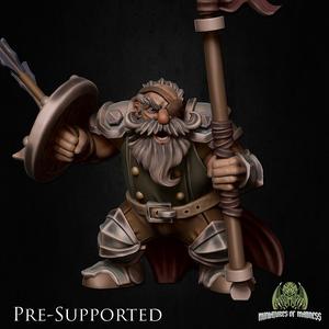 Balindur Sharpeyed [PRE-SUPPORTED] Dwarf Fighter