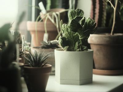 Modern plant pot with drip tray