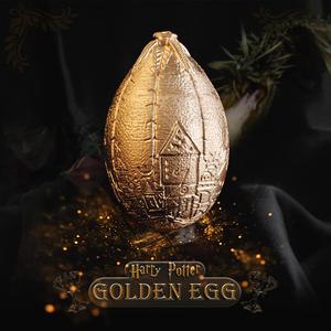 Golden Egg - Harry Potter Triwizard Tournament - Dragon Egg