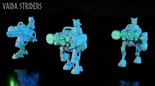 Vaida Striders