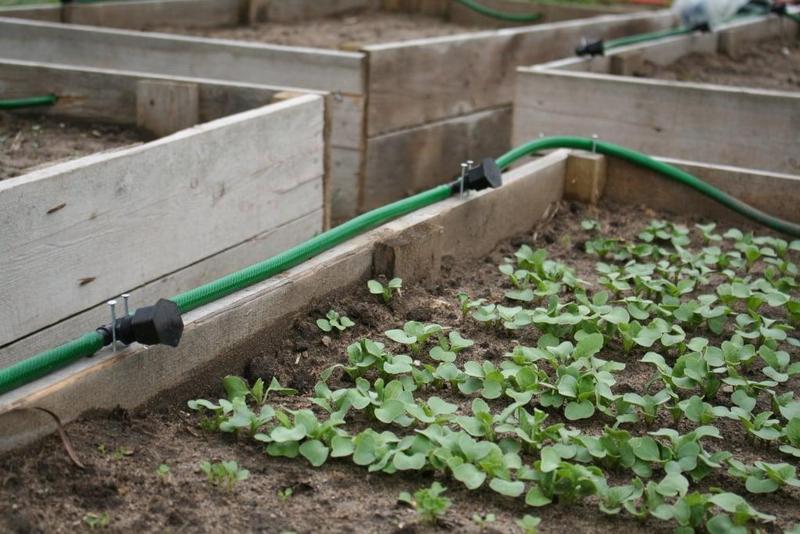 irrigation nozzle for my raised beds