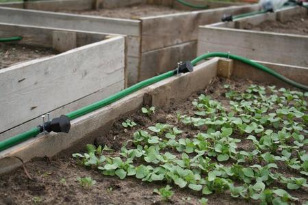 irrigation nozzle for my raised beds