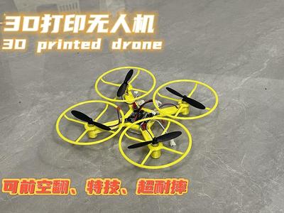 3D Printed Drone