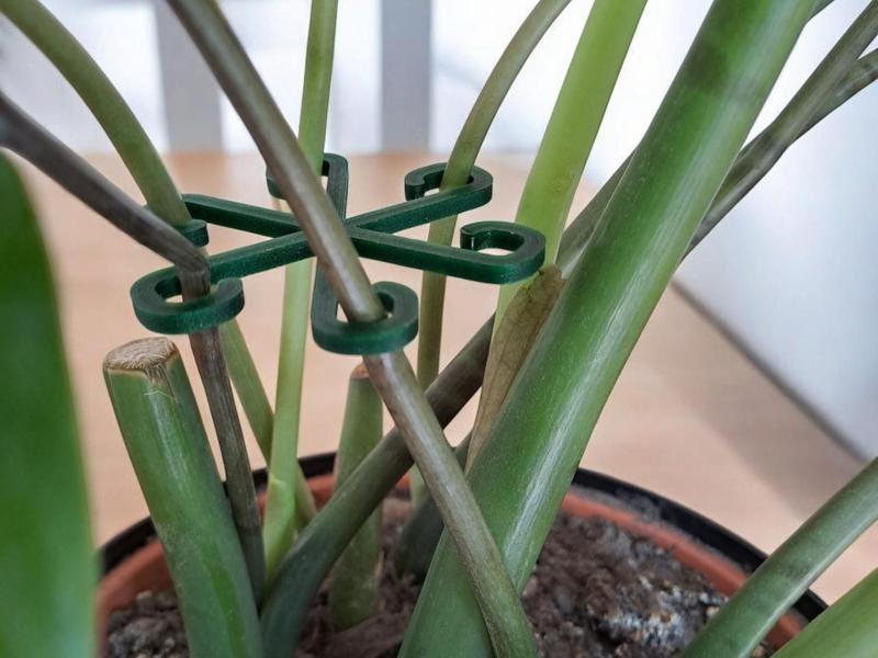 Stable Plant Support Hooks