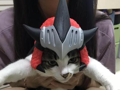Monster Hunter – Palico Fire Dragon Helmet