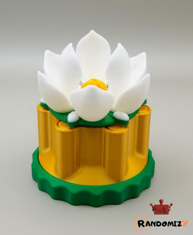 Magnolia Box