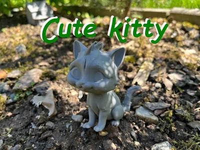 Beautiful cute kitty   