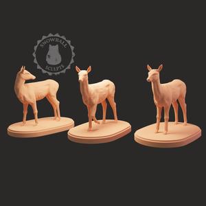 Doe Set