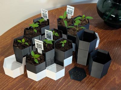 Hexagon plant pot system