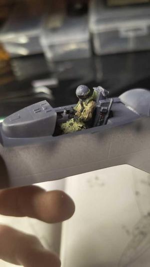 Pilot in Flight-Jet