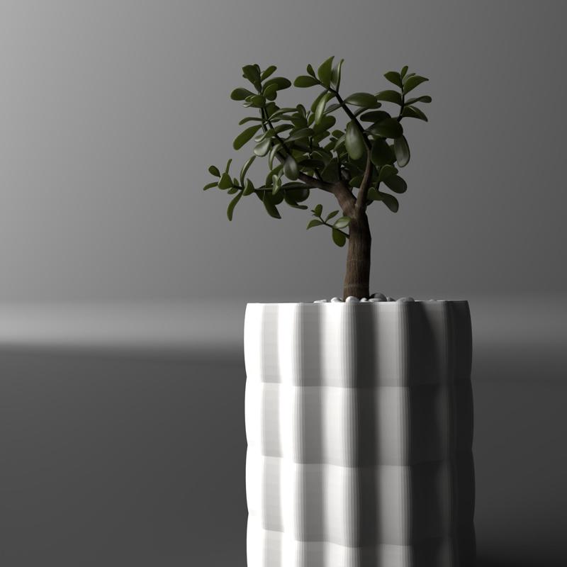 Curvy Planter / Vase