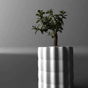 Curvy Planter / Vase