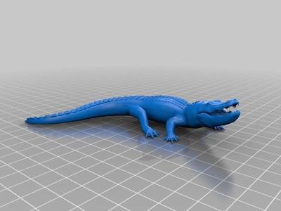 Alligator