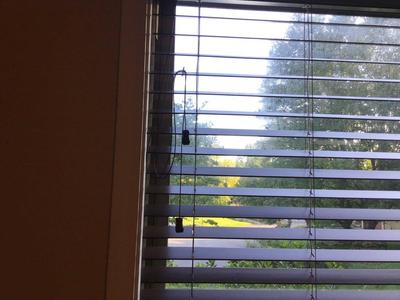 Blind Cord Clip: Keep the Strings from Windows Up!