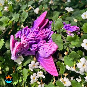 Baby Butterfly Dragon