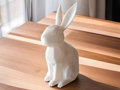 Geometric Rabbit