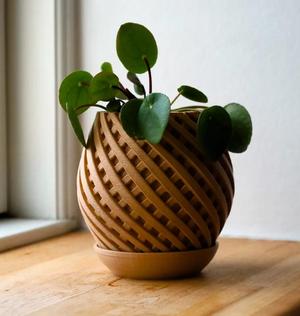 Pot 11
