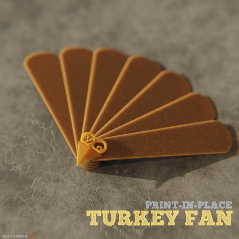 Turkey Fan Toy | Print-In-Place