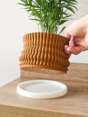 Cos | Planters