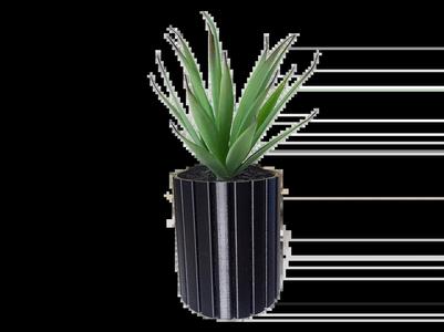 🌱 Sliding bottom pot – Easy to transplant 🌱