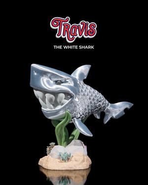 Travis, the White Shark