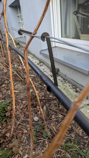 Irrigation tube holder for 16mm tube, and metal wire   