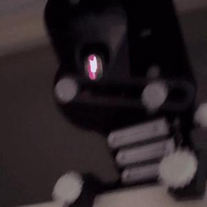 Random laser pointer cat toy