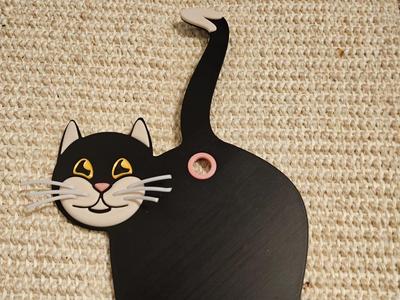 Cat Door Spy without AMS