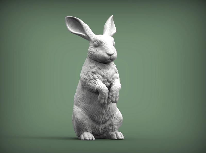 Rabbit bunny