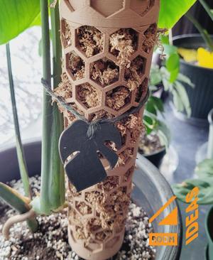 Monstera Tie Charm Set