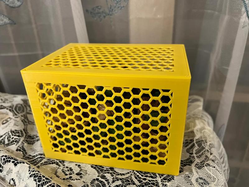 Honeycomb Box (IKEA Dried Flowers)