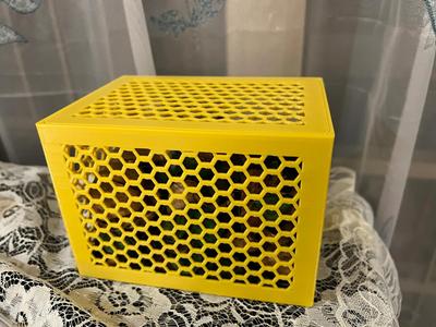 Honeycomb Box (IKEA Dried Flowers)