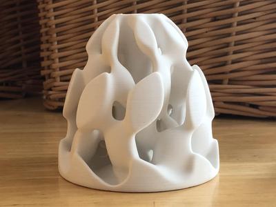 Reticular Form 1