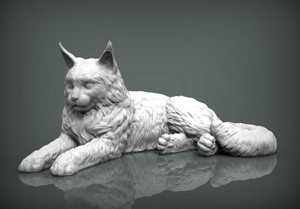 Maine Coon