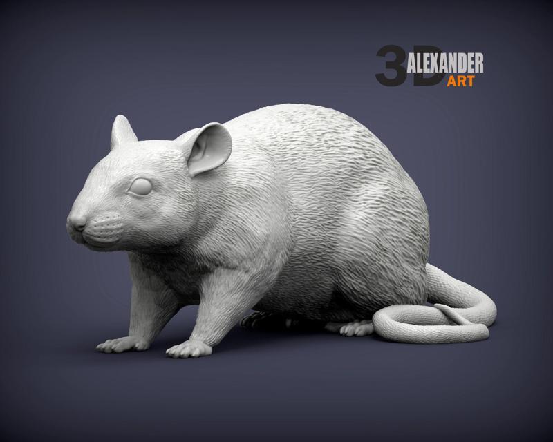 Rat 3D print model