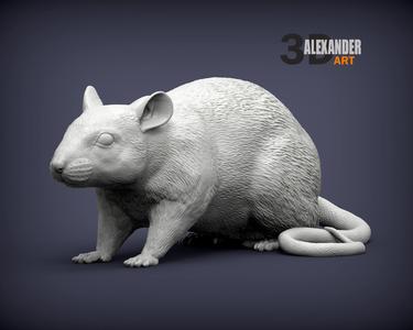Rat 3D print model