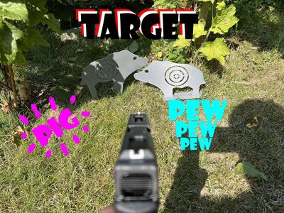 Target Pig, Airsoft, Air gun, BB gun