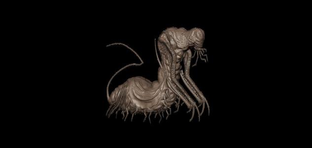 Congregant of the Church of the Metamorphosis